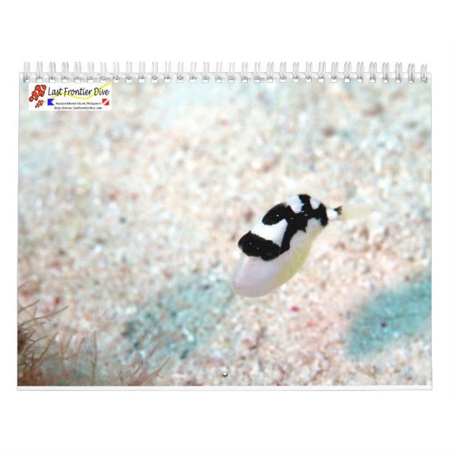 Unterwasser von Siquijor S- L Kalender (Titelbild)