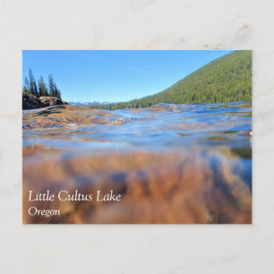 Unterwasseransicht am Little Cultus Lake, OR Postkarte