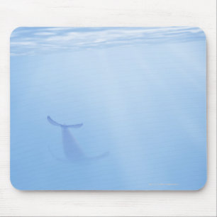 Unterwasseransicht des Wals Mousepad