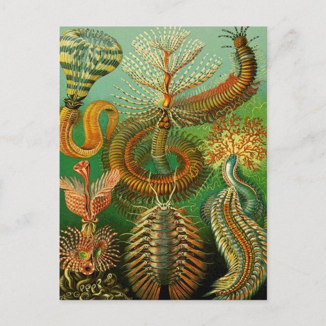 Unterwasserfarbe Postkarte (Vorderseite)