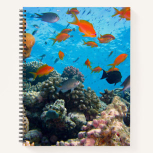 Unterwasserfische und Korallenschaukeln Notizbuch