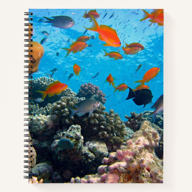 Unterwasserfische und Korallenschaukeln Notizbuch (Vorderseite)