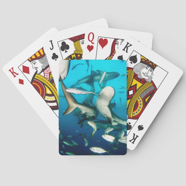 Unterwasserhaie Spielkarten (Rückseite)
