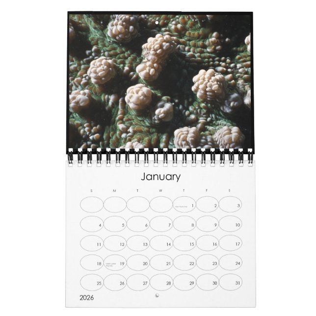 Unterwasserkalender 2010 kalender (Jan 2026)