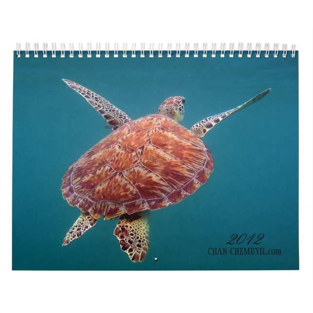 Unterwasserkalender Chan Chemuyil Kalender (Titelbild)