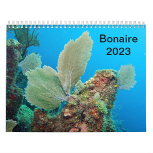 Unterwasserkalender — Roatan, Honduras Kalender