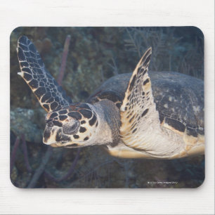 Unterwasserleben: Eine Hawksbill Meeresschildkröt Mousepad