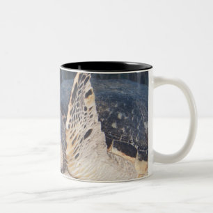 Unterwasserleben: Eine Hawksbill Meeresschildkröt Zweifarbige Tasse