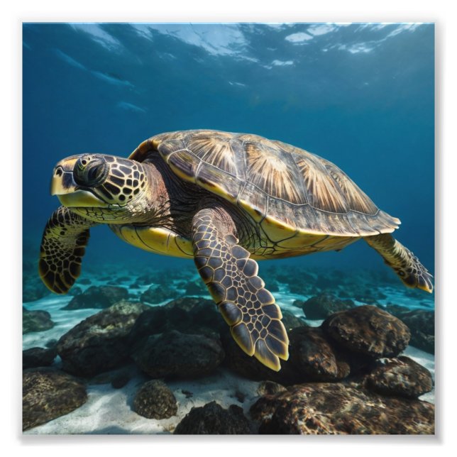 Unterwasserschildkröte Fotodruck (Vorne)