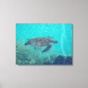 Unterwasserschildkröte Kiholo Bay Hawaii Leinwand