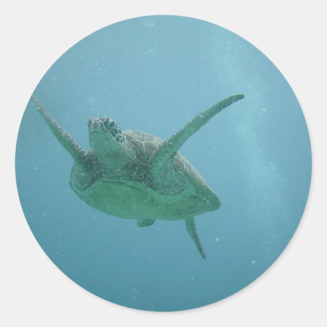 Unterwasserschildkröte Runder Aufkleber (Vorderseite)