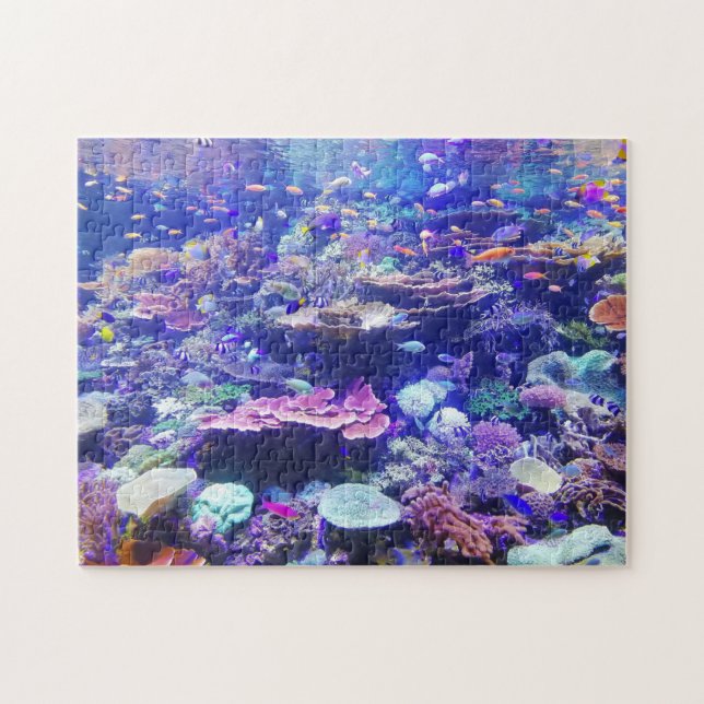 Unterwasserschule für Foto von Fischen und Koralle (Horizontal)