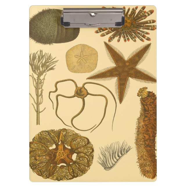 Unterwasserseegeschöpfe Klemmbrett (Vorderseite)