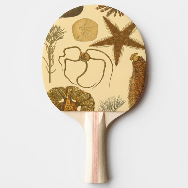 Unterwasserseegeschöpfe Tischtennis Schläger (Vorderseite)