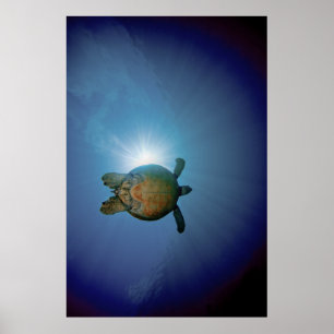 UnterwasserTurtle  Andaman Meer, Thailand Poster