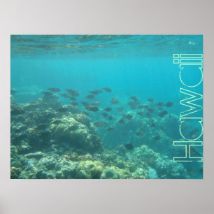 Unterwasserwelt Korallenriff Hawaii Poster