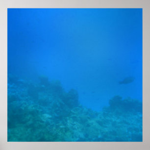 Unterwasserwelt Poster