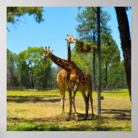 Unterzeichnet Taronga Western Plains Zoo Dubbo - G