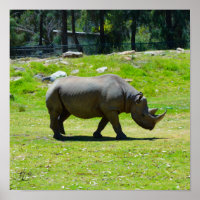 Unterzeichnet Taronga Western Plains Zoo Dubbo - R