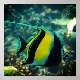 Unterzeichneter Fliegenfisch Poster