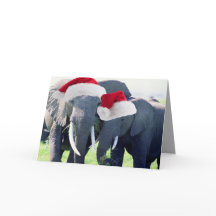 Unvergessliche Weihnachten