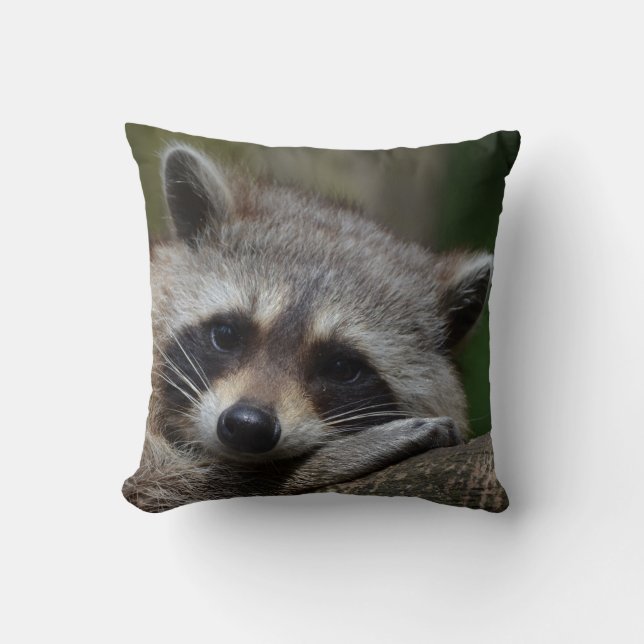 Unverschämt niedlicher BabyRaccoon Kissen (Vorderseite)
