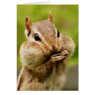 Unverschämte Chipmunk-Karte