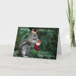 Unverschämter WeihnachtsChipmunk Feiertagskarte