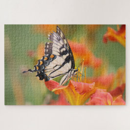 Unvollkommen ist schön: Frack-Schmetterling