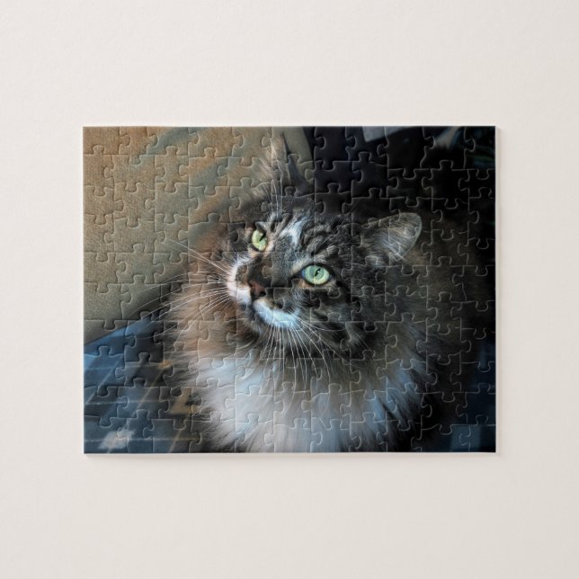 Unwiderstehliches Katze Zorro Puzzlespiel (Horizontal)
