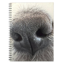 Unwiderstehliches Welpennase Notizbuch