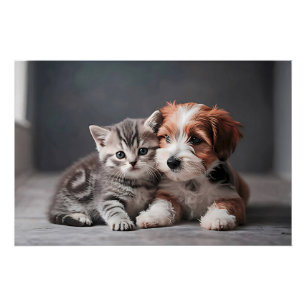 Unzertrennliche Bande Poster