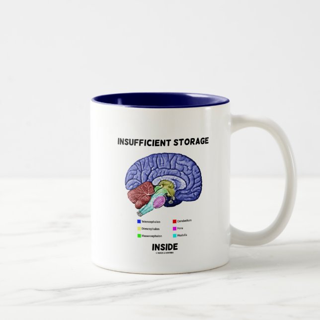 Unzureichender Speicher im Innern (Gehirnanatomie- Zweifarbige Tasse (Rechts)