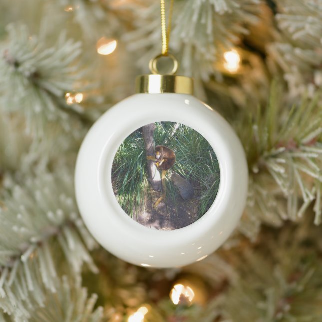 "Up in Trees: An Australian Tree Kangaroo Climbs Keramik Kugel-Ornament (Baum)
