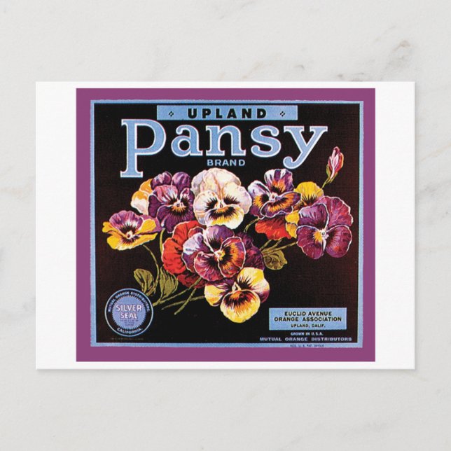 Upland Pansy Vintag Crate Label Postkarte (Vorderseite)