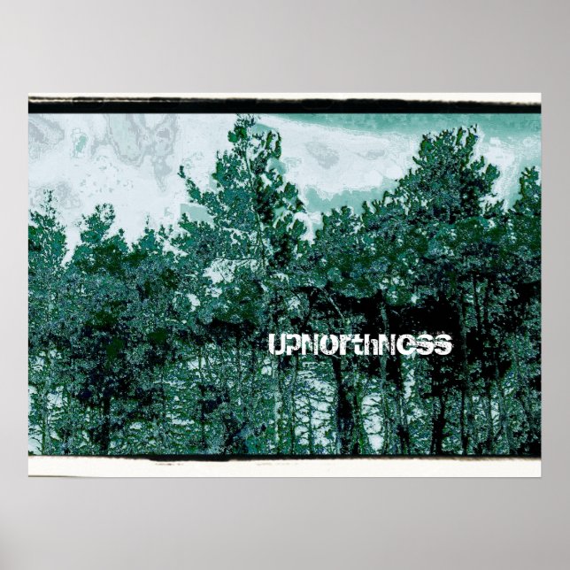 UpNorthNess Poster (Vorne)