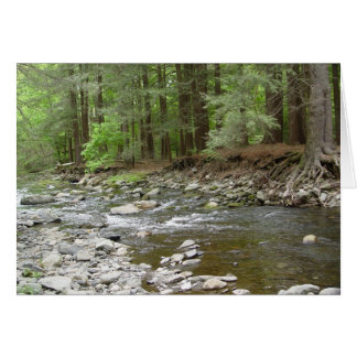 Upper Raymondskill Falls