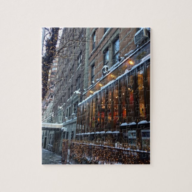 Upper West Side Icicles New York City Winter NYC (Vertikal)