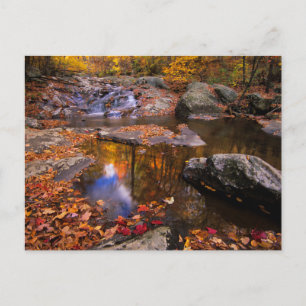 Upper Whiteoak Falls, Shenandoah-Nationalpark, VA Postkarte