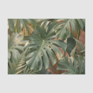 Üppige feuchte Monstera-Blätter Farne Tropischer D Seidenpapier
