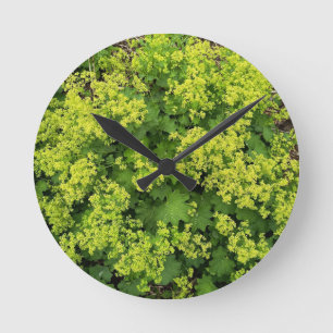 Üppige Grüne Efeu Botanische Natur Wanduhr