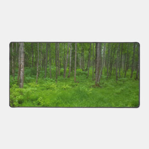 Üppige grüne Waldserenität Schreibtischunterlage