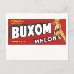 Üppige Melonen Postkarte
