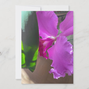 Üppige Orchidee Dankeskarte