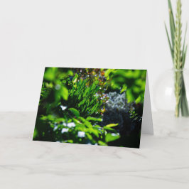 Üppiger grüner Garten Karte