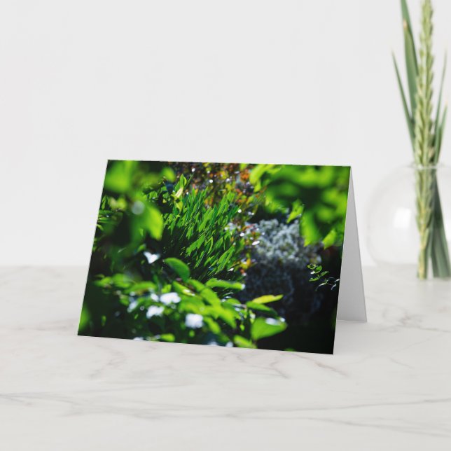 Üppiger grüner Garten Karte (Vorderseite)