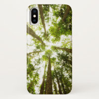 Üppiger grüner Regen-Wald