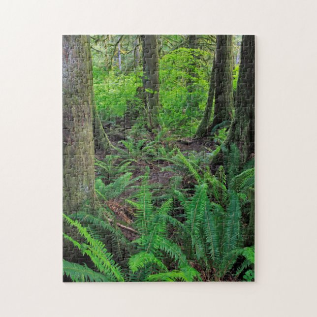 Üppiger grüner Wald Landschaft (Vertikal)