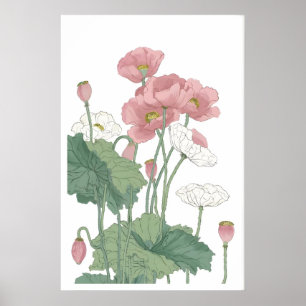 Üppiger Mohnblüten-Druck - Luftige rosa Blumen mit Poster