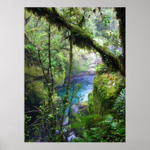 Üppiges Dschungel-Fluss-Plakat Poster
